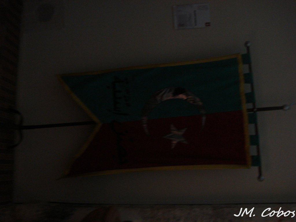 DSC07780.jpg