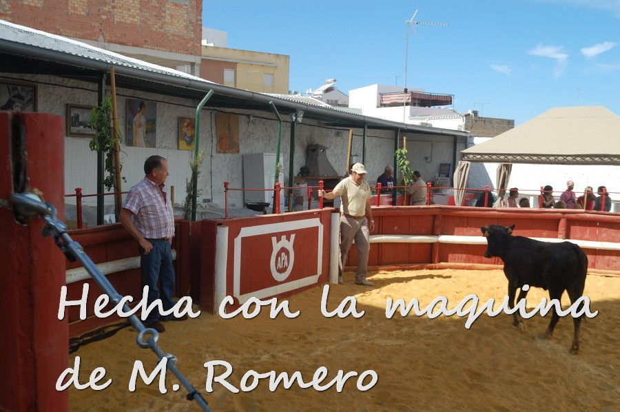 Por todos ESTEPA 2011.JPG