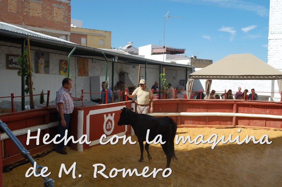Por todos ESTEPA 2012.JPG