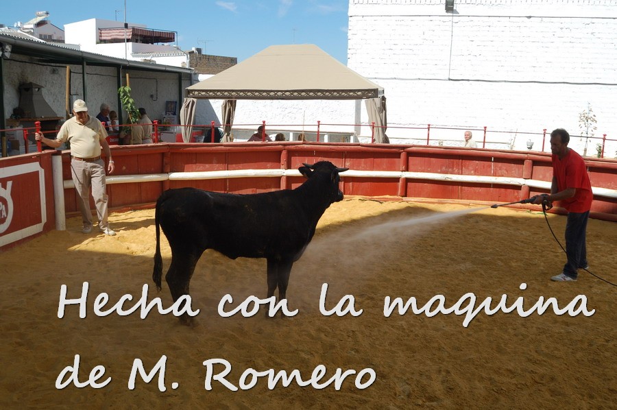 Por todos ESTEPA 2019.JPG