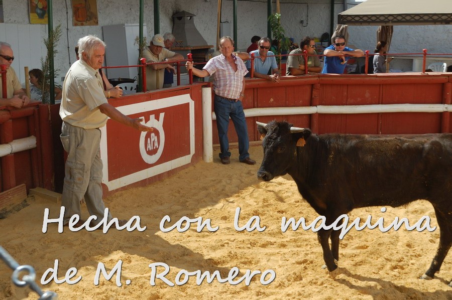 Por todos ESTEPA 2088.JPG