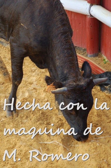 Por todos ESTEPA 2135.JPG